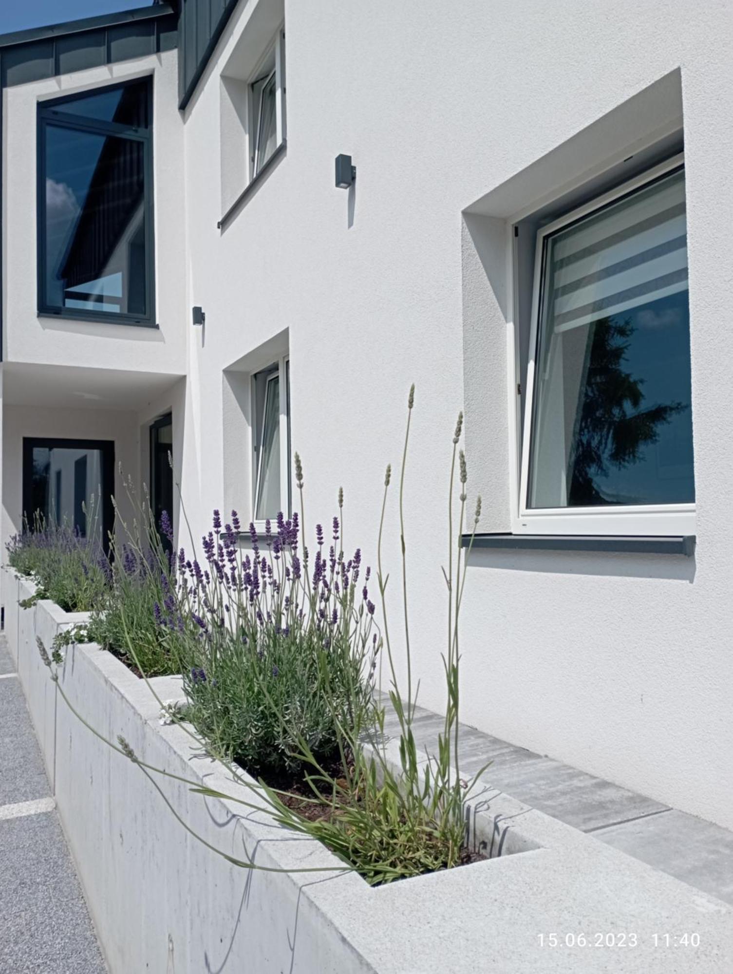 Studio 102 Bachowice Exteriör bild